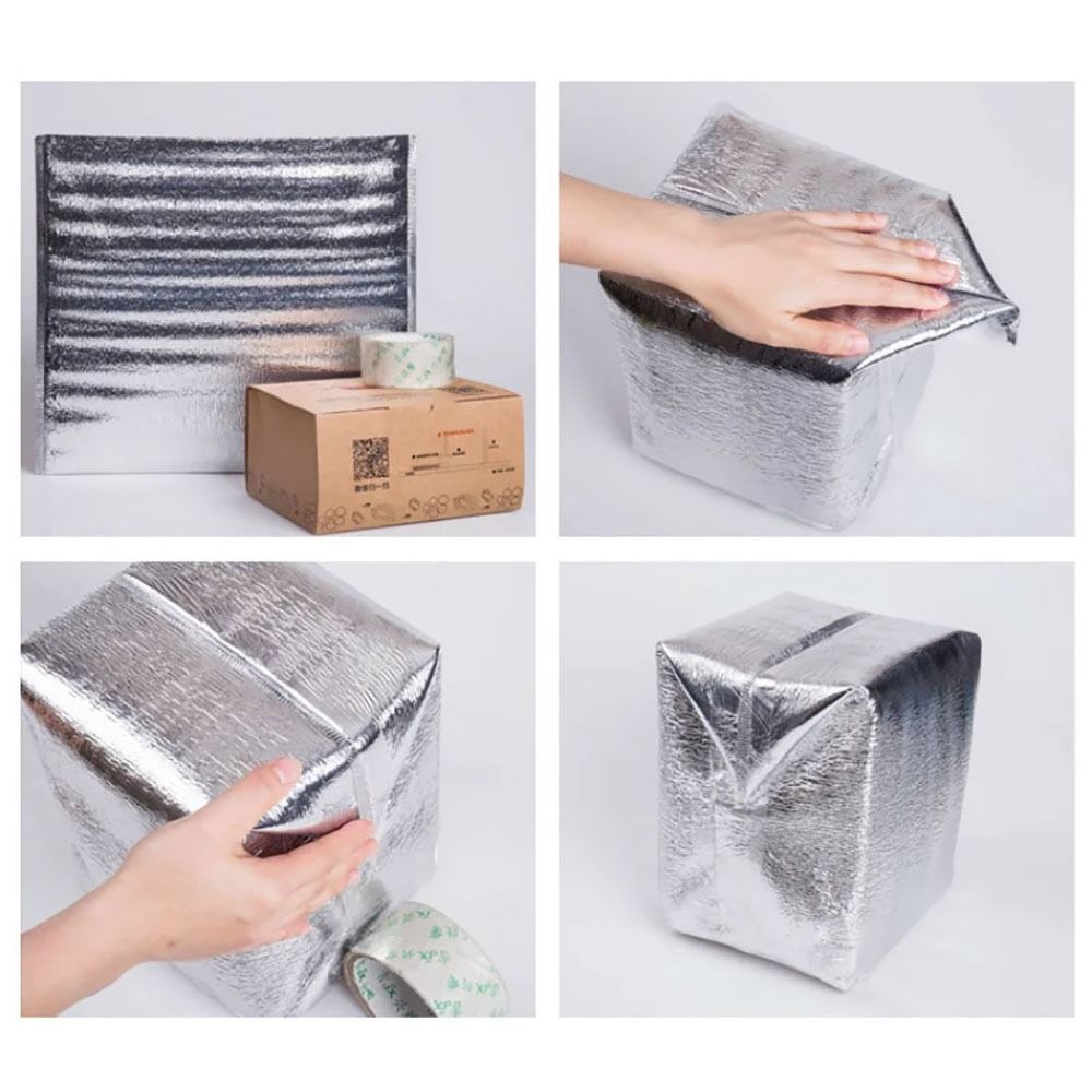 Aluminum Foil Cooler Bag Insul - Food Snacks Delivery review and price