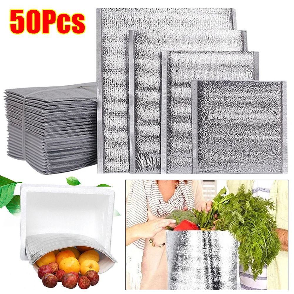 Aluminum Foil Cooler Bag Insul - Food Snacks Delivery review and price