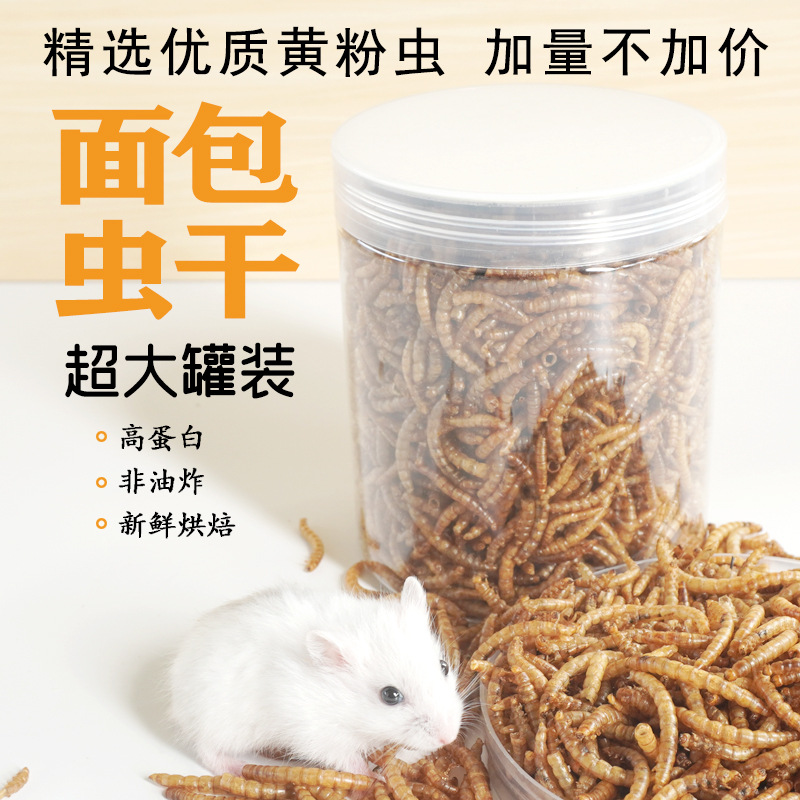 High-Protein Snacks Hamster Fo - Food Snacks With High Protein review and price