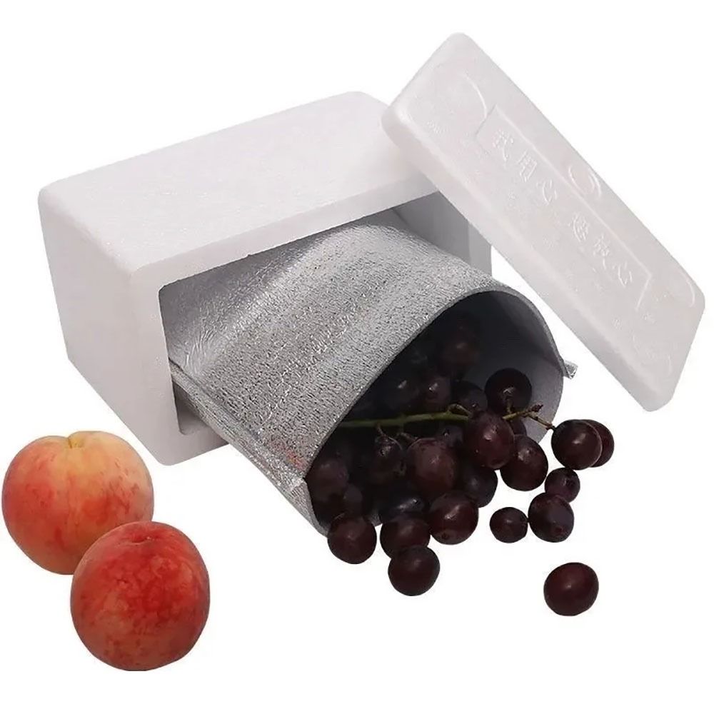 Aluminum Foil Cooler Bag Insul - Food Snacks Delivery review and price